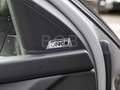 Skoda Octavia 2.0 TSI RS SHZ PDC NAVI PANORAMA-GLASSCHIEBEDACH Grau - thumbnail 13