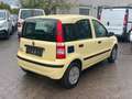 Fiat Panda 1.2 8V Dynamic - TÜV NEU - 1. HAND žuta - thumbnail 4