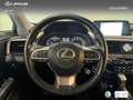 Lexus LEXUS RX Todoterreno  Automático de 5 Puertas Azul - thumbnail 17