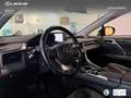 Lexus LEXUS RX Todoterreno  Automático de 5 Puertas Azul - thumbnail 21