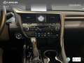 Lexus LEXUS RX Todoterreno  Automático de 5 Puertas Azul - thumbnail 20