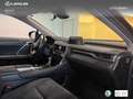Lexus LEXUS RX Todoterreno  Automático de 5 Puertas Azul - thumbnail 6