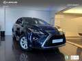 Lexus LEXUS RX Todoterreno  Automático de 5 Puertas Azul - thumbnail 12