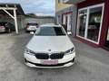 BMW 530 48V 530 d Luxury Line PANO|LED|LEDER|HEAD-UP Weiß - thumbnail 2