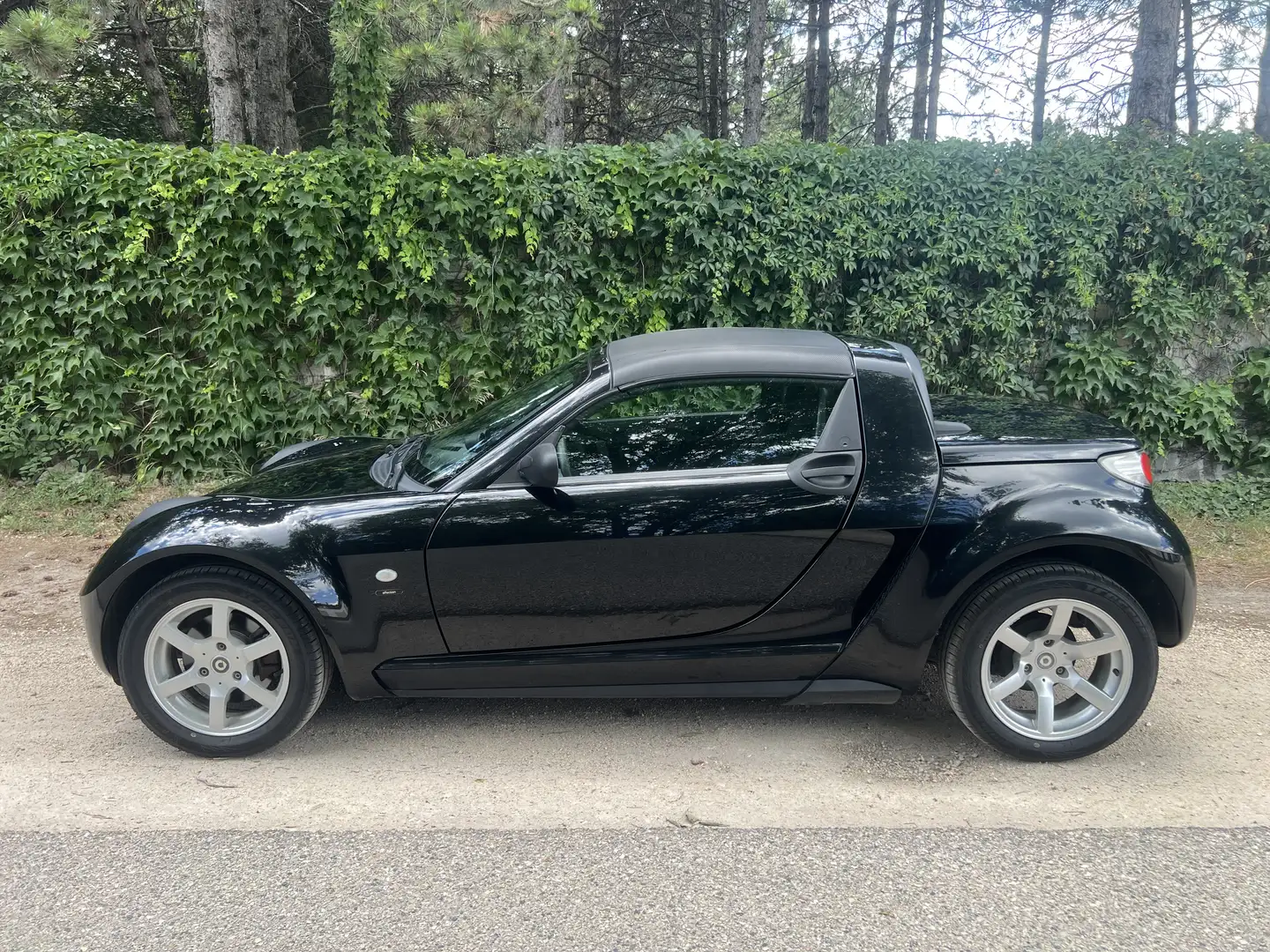 smart roadster affection - 2
