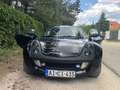 smart roadster affection - thumbnail 7