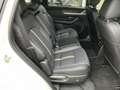Mazda CX-80 3.3L e-SKYACTIV D 254PS AWD Homura Plus Weiß - thumbnail 12