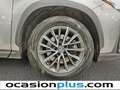 Lexus NX 300h 450h+ Executive 4WD Gris - thumbnail 47