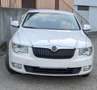 Skoda Superb 1.8 TSI Ambition Weiß - thumbnail 2