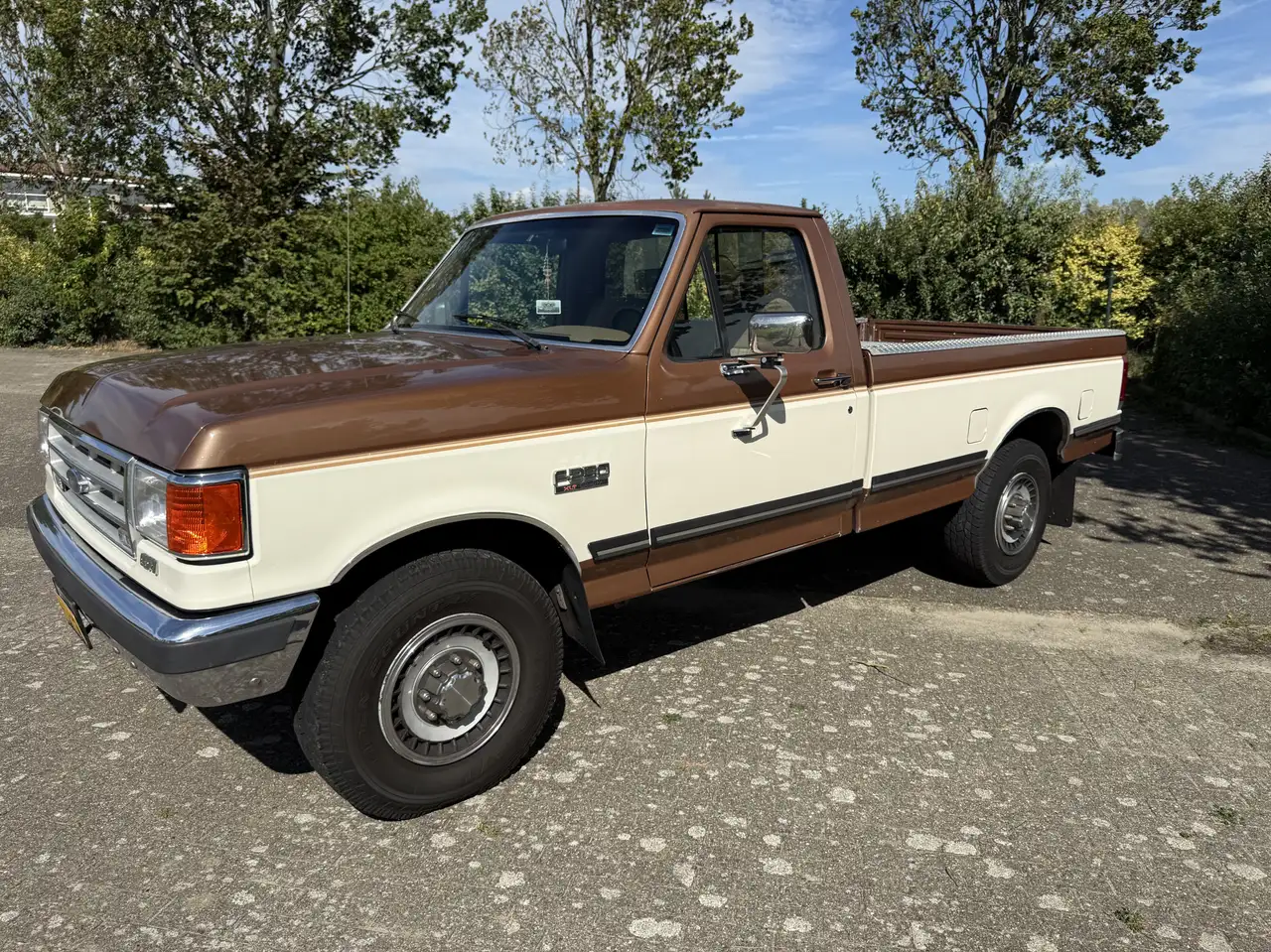 Ford F 250, foto 6