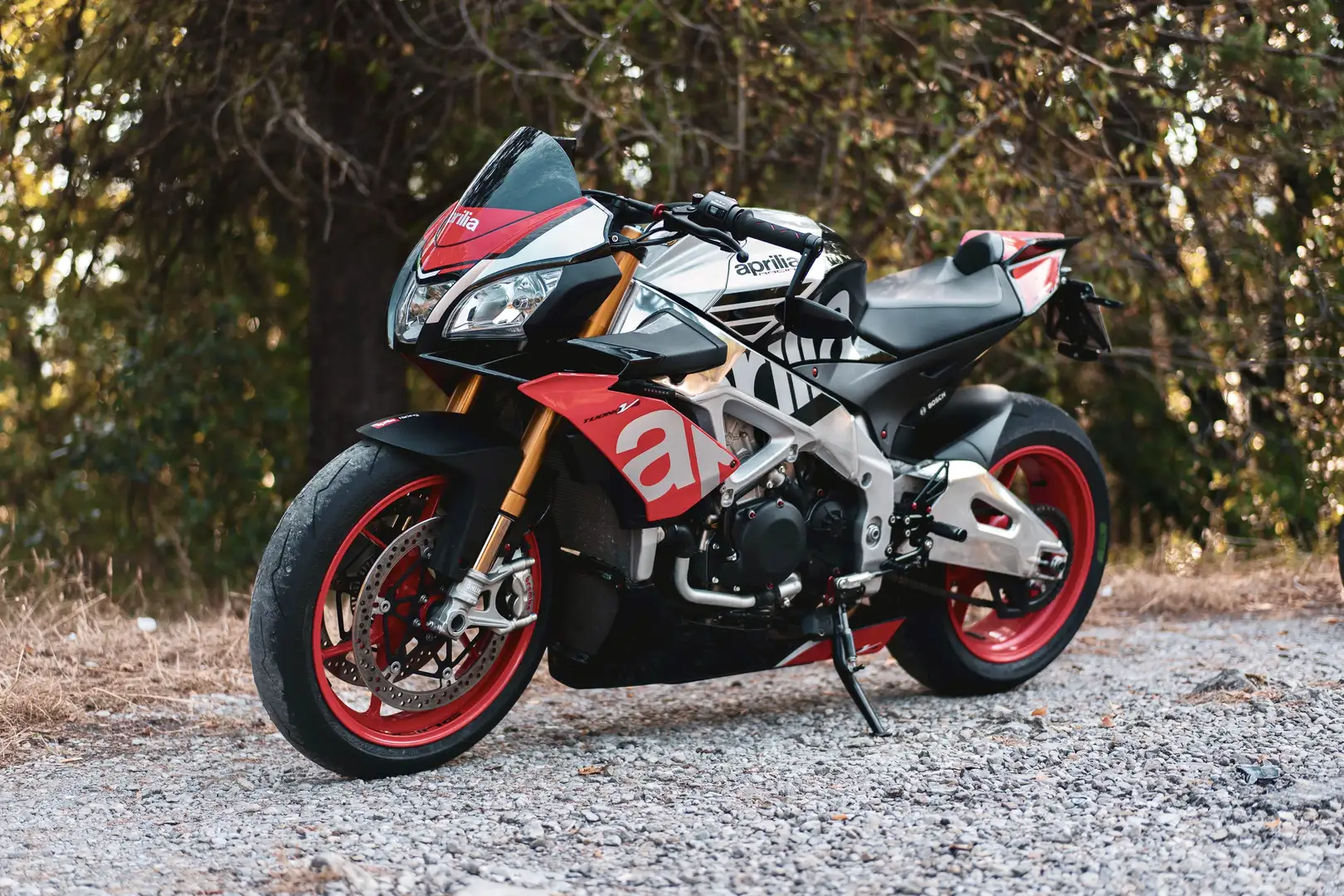 Aprilia Tuono V4 Factory - 1