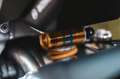 Aprilia Tuono V4 Factory - thumbnail 10