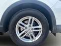 Nissan Qashqai 1,2 DIG-T Tekna Weiß - thumbnail 13