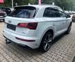 Audi Q5 40 TDI quattro EDITION ONE S-LINE AHK MATRIX Weiß - thumbnail 6
