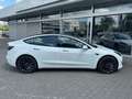 Tesla Model 3 PERFORM AWD PANO+NAVI+STDHZ+LED+ACC+360+ Blanc - thumbnail 7