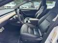 Tesla Model 3 PERFORM AWD PANO+NAVI+STDHZ+LED+ACC+360+ Blanc - thumbnail 9