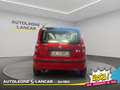 Fiat Panda 1.1 Active 55cv Rosso - thumbnail 6