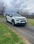 Citroen C3 bluehdi 100 feel business Weiß - thumbnail 2