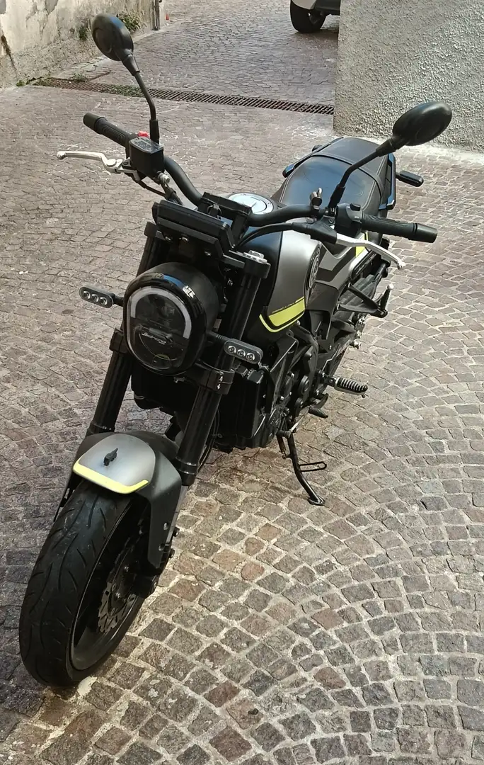 Benelli Leoncino Negro - 2