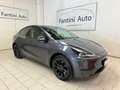 Tesla Model Y Single Motor-ANCHE SUBENTRO LEASING-LEGGI SOTTO Grau - thumbnail 1