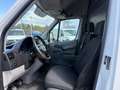 Mercedes-Benz Sprinter L2 H2 316 CDI BlueTEC Euro 6 *Netto €16.583,-* Weiß - thumbnail 15