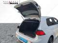 Volkswagen Golf GTE eHybrid DSG Navi ACC IQ.Light 8fach App Weiß - thumbnail 15