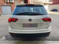 Volkswagen Tiguan 2.0 tdi 150CV DSG Executive 4motion Bianco - thumbnail 5
