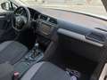 Volkswagen Tiguan 2.0 tdi 150CV DSG Executive 4motion Bianco - thumbnail 9