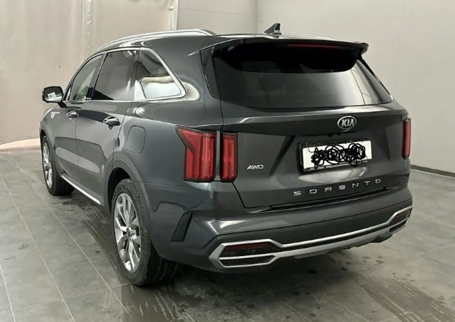 Kia Sorento 2.2 CRDi 4WD Platinum Pano Leder LED Gris - 2