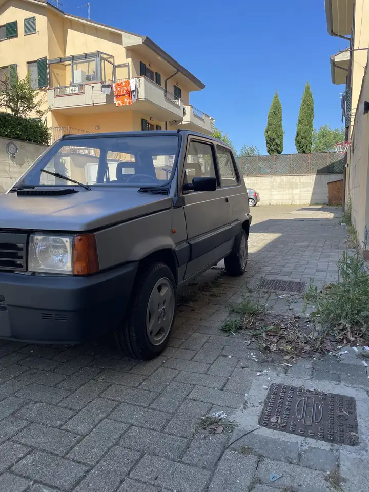 Fiat Panda Country, foto 1
