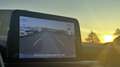 Ford Focus Wagon 1.5 EcoBoost Titanium Automaat | Winterpack Blau - thumbnail 34