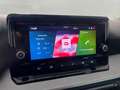 SEAT Ibiza 1.0 TSI S&S Xcellence 115 Gris - thumbnail 17