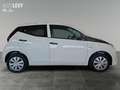 Toyota Aygo 1.0 Business *Klima* Weiß - thumbnail 7