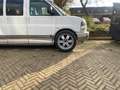 GMC Savana Explorer high top Weiß - thumbnail 10