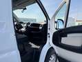 Fiat Ducato carrozado plataforma elevadora Blanco - thumbnail 9