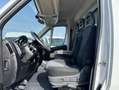 Fiat Ducato carrozado plataforma elevadora Blanco - thumbnail 12