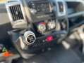 Fiat Ducato carrozado plataforma elevadora Blanco - thumbnail 17