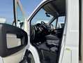 Fiat Ducato carrozado plataforma elevadora Blanco - thumbnail 11
