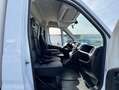 Fiat Ducato carrozado plataforma elevadora Blanco - thumbnail 10