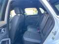 Audi Q3 2.0 TDI 150 Cv S-LINE S-TRONIC MATRIX - 2020 Bianco - thumbnail 8