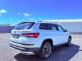 Skoda Kodiaq SCOUT 4x4 Canton AHK DAB 360* Kamera PANO Blanc - thumbnail 5
