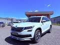 Skoda Kodiaq SCOUT 4x4 Canton AHK DAB 360* Kamera PANO Blanc - thumbnail 1
