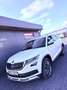 Skoda Kodiaq SCOUT 4x4 Canton AHK DAB 360* Kamera PANO Белый - thumbnail 1