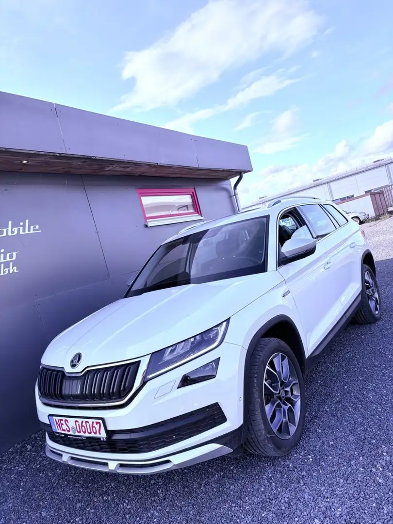 Skoda Kodiaq SCOUT 4x4 Canton AHK DAB 360* Kamera PANO Белый - 1