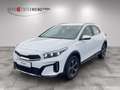 Kia XCeed 1.6 GDI DCT6 OPF Plug-in-Hybrid SPIRIT Plug-in-Hyb Bianco - thumbnail 1