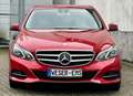 Mercedes-Benz E 220 CDI Automatik AVANTGARDE COMAND Klima eFH Rood - thumbnail 14