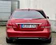 Mercedes-Benz E 220 CDI Automatik AVANTGARDE COMAND Klima eFH Rood - thumbnail 8