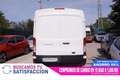 Ford Transit 2.0 ECO BLUE VAN TREND L3H2 130CV 3P # IVA Blanco - thumbnail 5