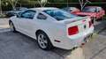 Ford Mustang GT  V8 Blanc - thumbnail 7