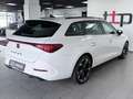 CUPRA Leon 2.0 TDI R.Kamera ACC LED Keyless Navi Weiß - thumbnail 5